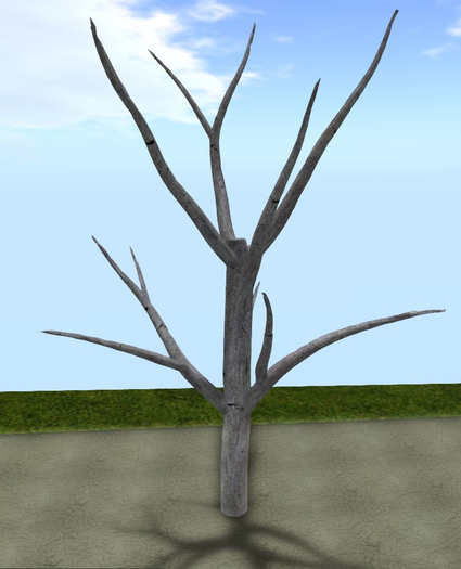 Dead mesh tree  