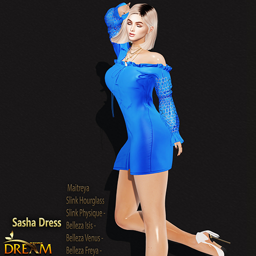 D.S Sasha Dress
