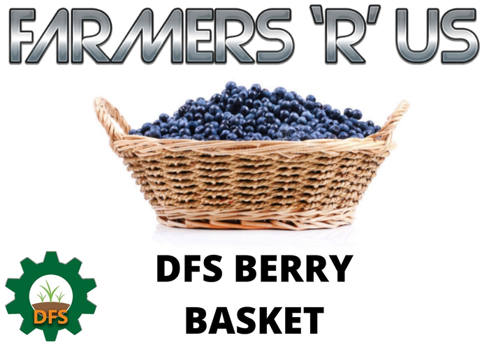 DFS Berry Basket