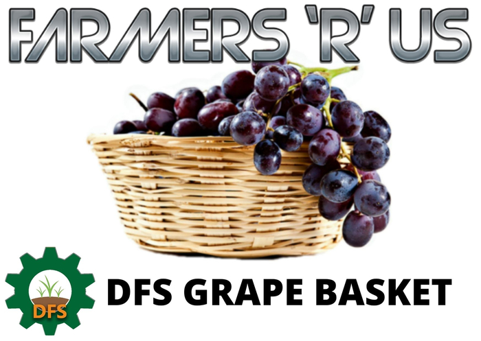 DFS Grapes Basket