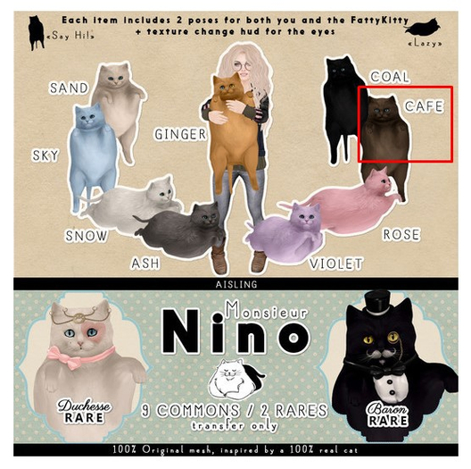 . aisling . NINO Cafe