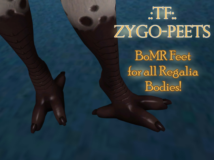 .:TF:. ZYGO-PEETS