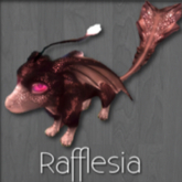 Rafflesia #8330391