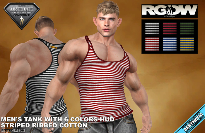 RGDW - Tank For Aesthetic  with HUD - Striped