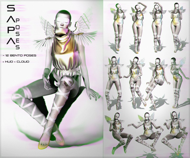 SAPA poses 108