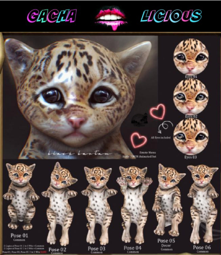 **[Black Bantam] Tiny Leopard Pose 04