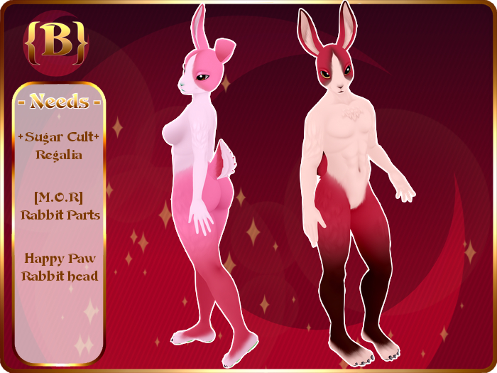 {P} Dutch Rabbit {Lily / Rose} [DUO] [Box]