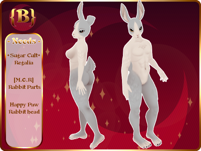 {P} Dutch Rabbit {White}