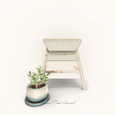 -tres blah- Salad Days - Trusty Table