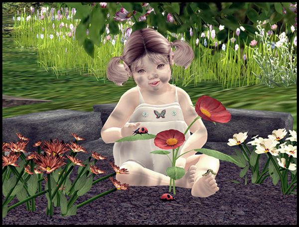 AW - My Little Garden