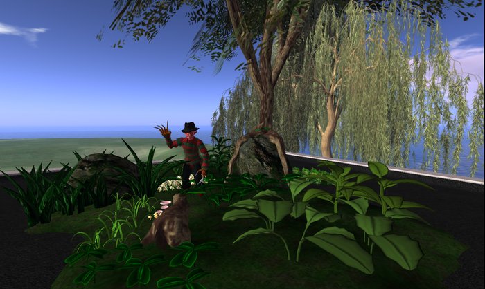Forest Scene!