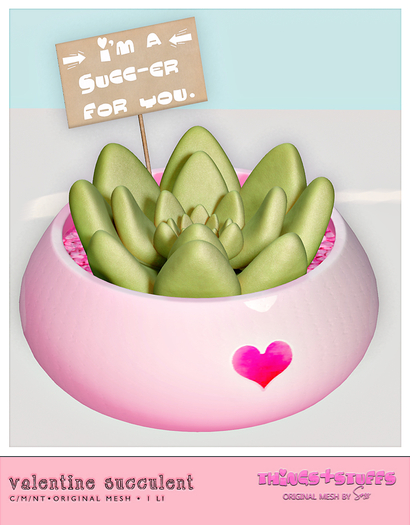 things&stuffs [valentine succulent] 