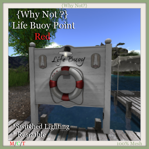 {Why Not ?} Life Buoy Point-Red-Boxed