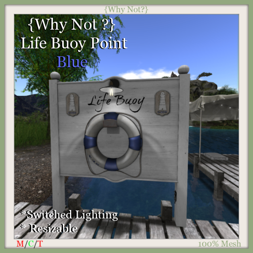 {Why Not ?} Life Buoy Point-Blue-Boxed