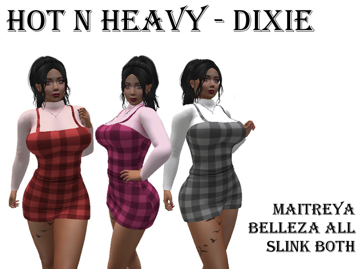 Hot N Heavy - Dixie
