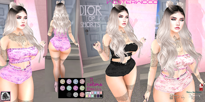.:WinTeRwooD Designs:.Dior Top & Shorts
