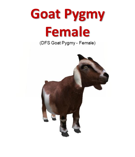 DFS Goat Pygmy - Female (Texture)
