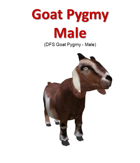 DFS Goat Pygmy - Male (Texture)