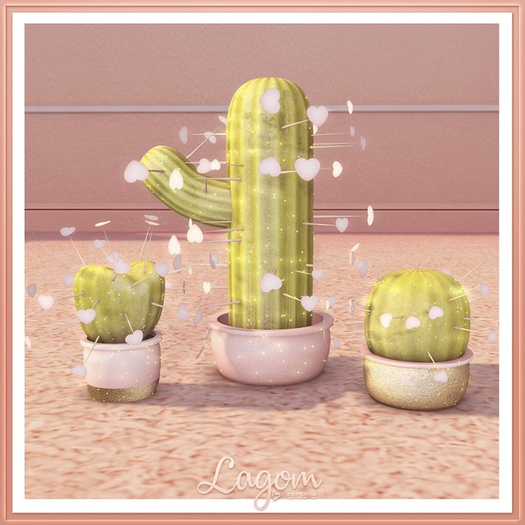 Lagom - Love Cacti