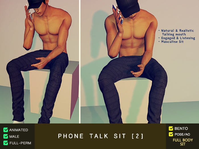 (Male) Talking Phone Sit [2]