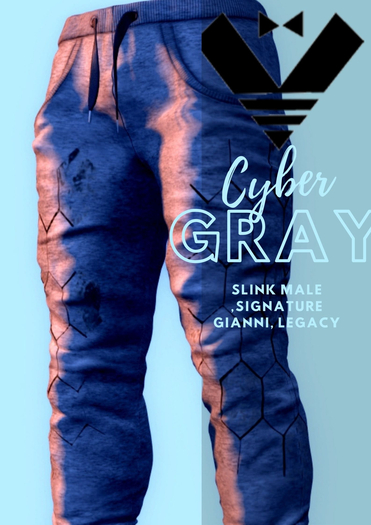 gray cyber Pants  