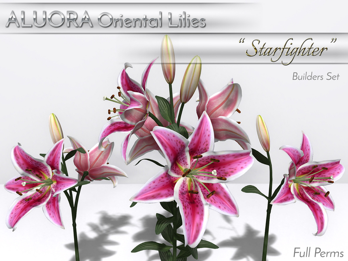 ALUORA Oriental Lilies BuildSet "Starfighter" - Full Perms