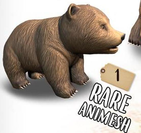 [Rezz Room] Box Baby Bear Animesh (Companion) RARE