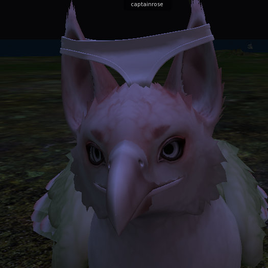 BRDMRT Griffin Panties DIY (BOXED)