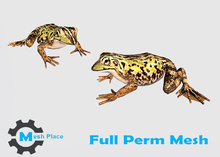 Mesh Place - Frog - Full Perm Mesh