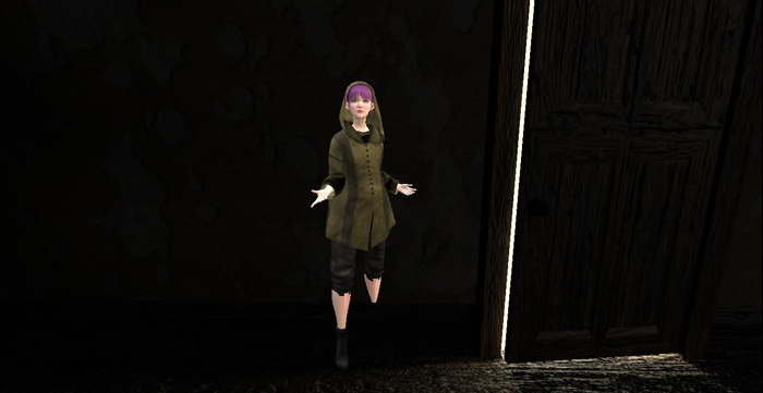 Medieval Hooded Ranger Coat