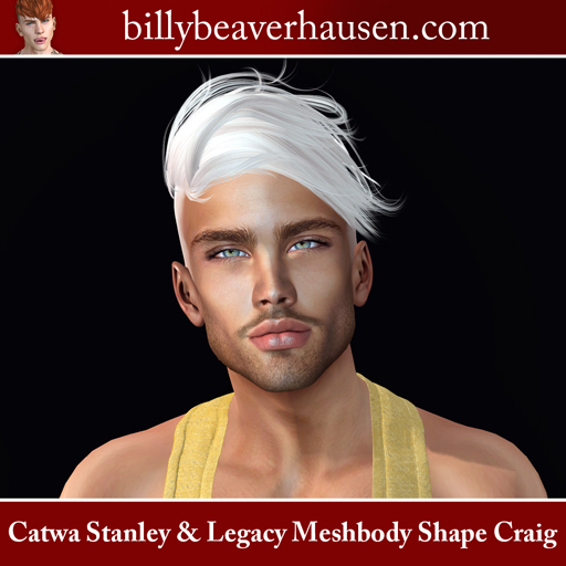 Catway Stanley & Legacy Meshbody Shape Craig