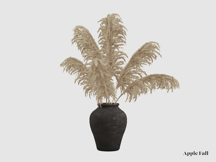 Apple Fall Pampas Grass - Wheat