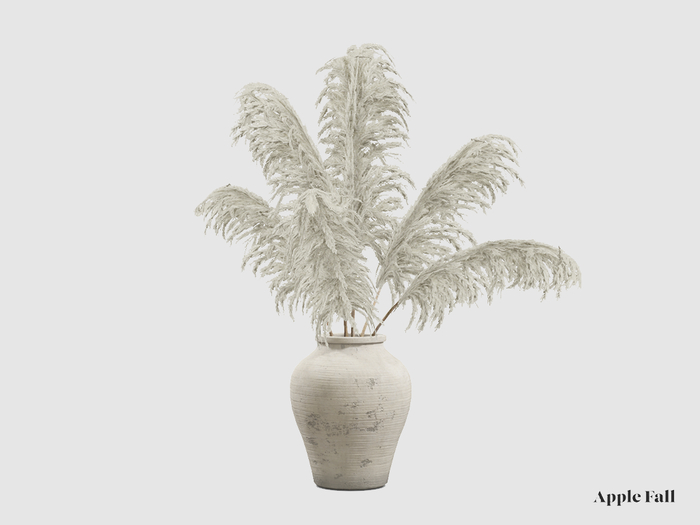 Apple Fall Pampas Grass - Feather