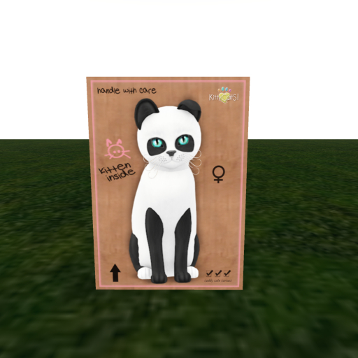 KittyCatS Box - 9T M Pandie - Ebony and Ivory - Galaxy Orbit