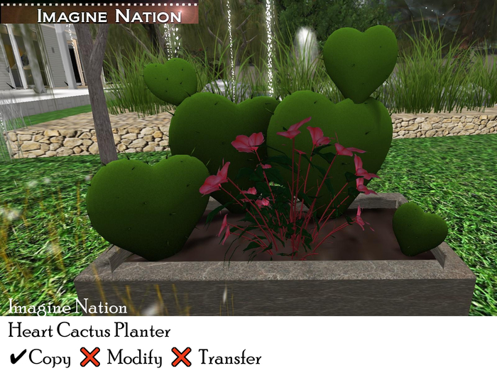 Heart Cactus Planter