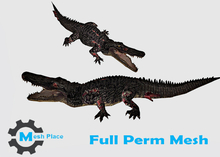 Mesh Place - Alligator - Full Perm Mesh
