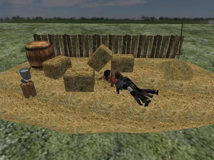 Romantic rural scene