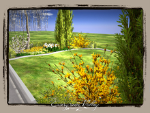 Garden Spring