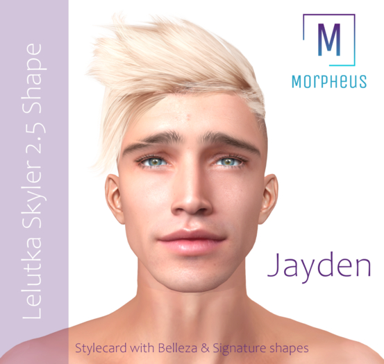 Lelutka Skyler 2.5 Shape - Jayden