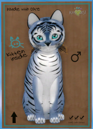 KittyCatS Box - Tiger! - Dusky Winkle