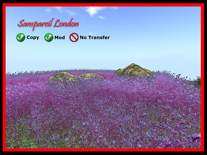 Purple field flowers