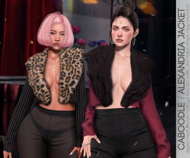 Caboodle - Alexandria Jacket - DEMOS