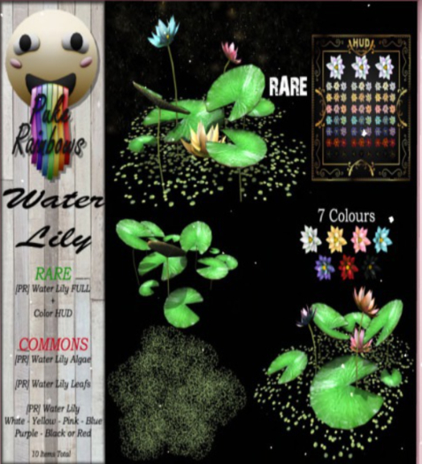 [PR] Water Lily - White <<COMMON>>