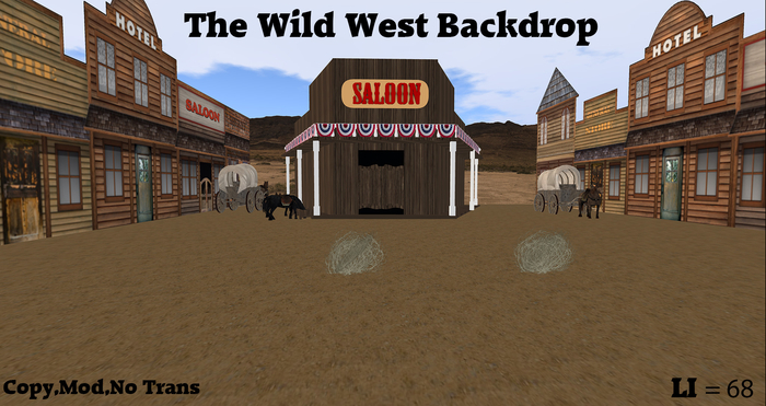 Wild West Backdrop Boxed 68 LI