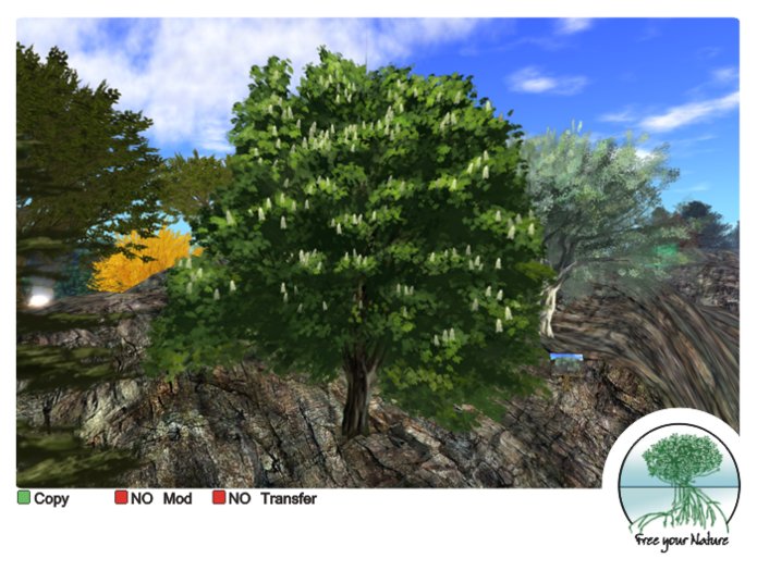Box Karukera - forest tree repainted