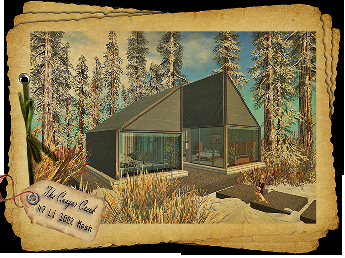 The Cougar Creek (boxed)