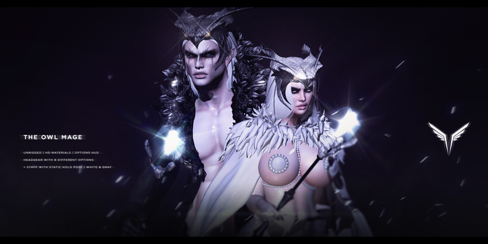 \-VALKYR-/ The Owl Mage