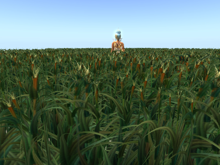 Cane thicket 16x16