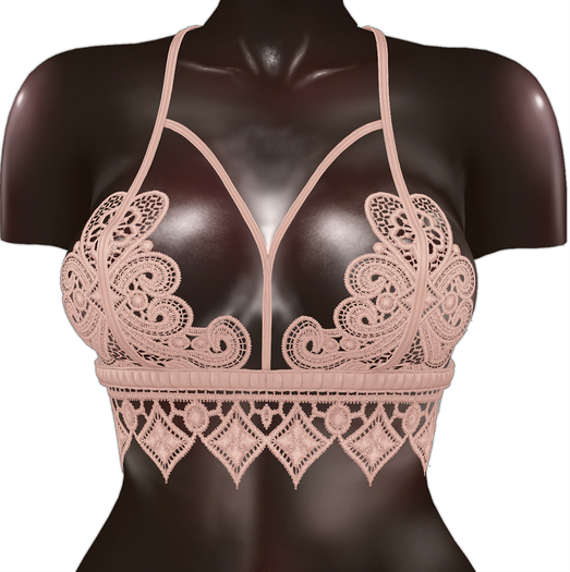 Kaithleen's Embroidery Top - Nude