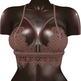 Kaithleen's Embroidery Top - Brown